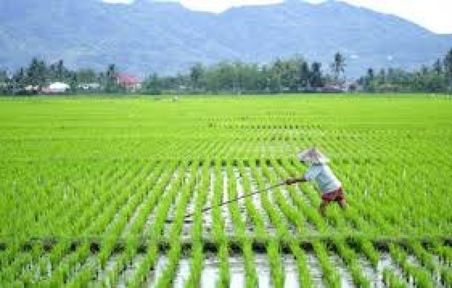 POTENSI LAHAN