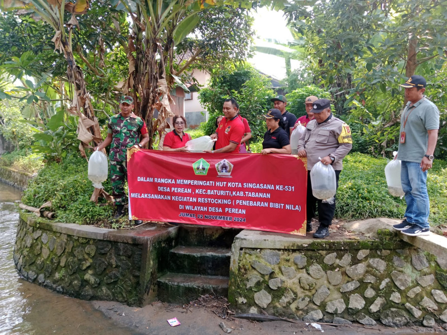 Peringatan HUT Kota Singasana ke-531: Penebaran Bibit Ikan Nila di Desa Perean